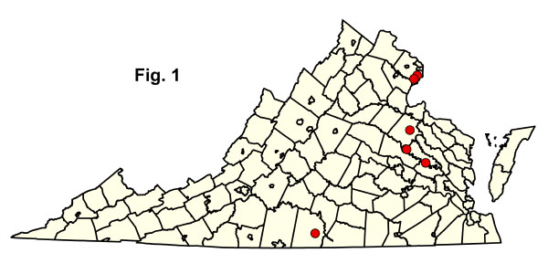 bản đồ cộng đồng