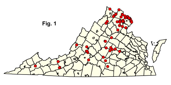 bản đồ cộng đồng