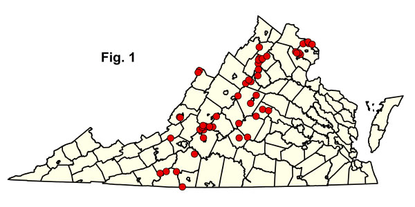 bản đồ cộng đồng