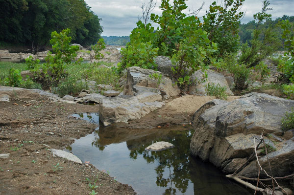 hình ảnh của dòng sông thủy triều năng lượng cao