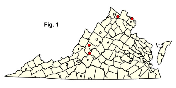 bản đồ cộng đồng