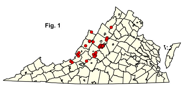 bản đồ cộng đồng