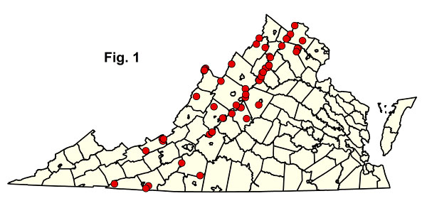bản đồ cộng đồng