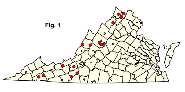 bản đồ cộng đồng