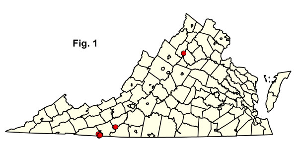 bản đồ cộng đồng