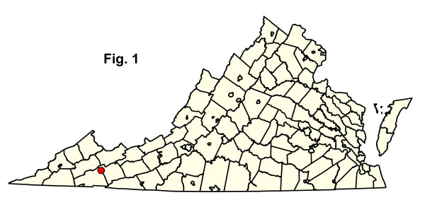 bản đồ cộng đồng