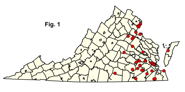 bản đồ cộng đồng
