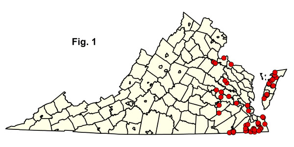 bản đồ cộng đồng