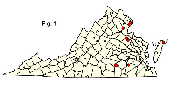 bản đồ cộng đồng