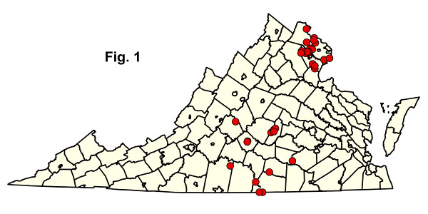 bản đồ cộng đồng