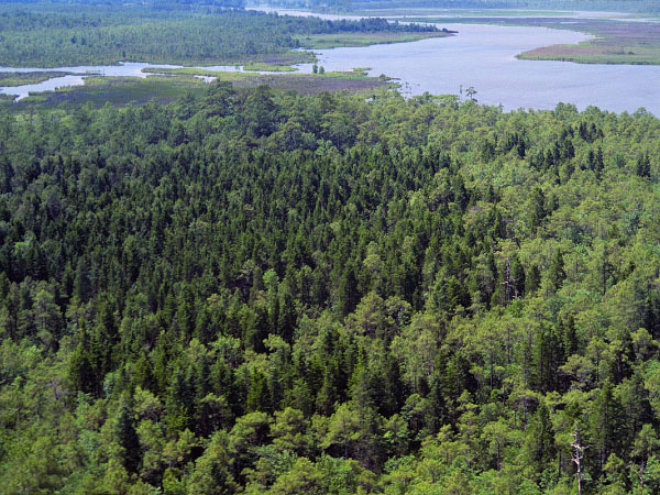 hình ảnh của dòng sông thủy triều năng lượng cao