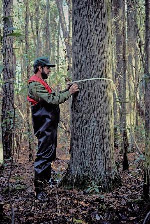 hình ảnh của dòng sông thủy triều năng lượng cao