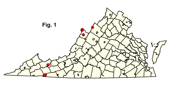 bản đồ cộng đồng