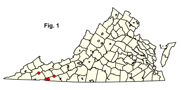 bản đồ cộng đồng