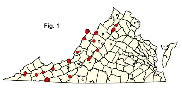 bản đồ cộng đồng