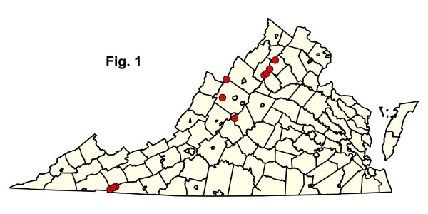 bản đồ cộng đồng
