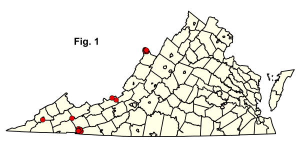 bản đồ cộng đồng