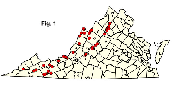 bản đồ cộng đồng