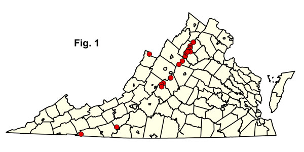 bản đồ cộng đồng