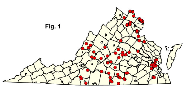 bản đồ cộng đồng