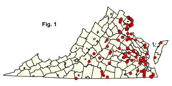 bản đồ cộng đồng