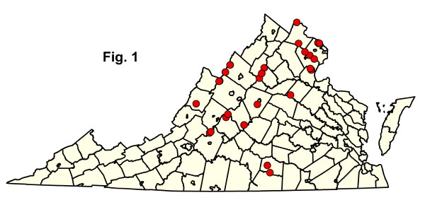 bản đồ cộng đồng