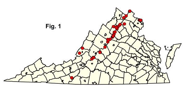 bản đồ cộng đồng