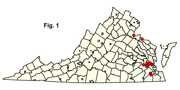 bản đồ cộng đồng