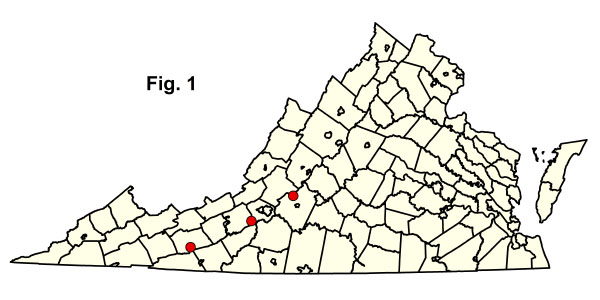 bản đồ cộng đồng