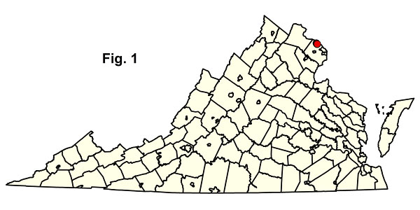 bản đồ cộng đồng