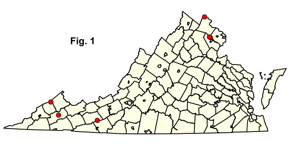 bản đồ cộng đồng