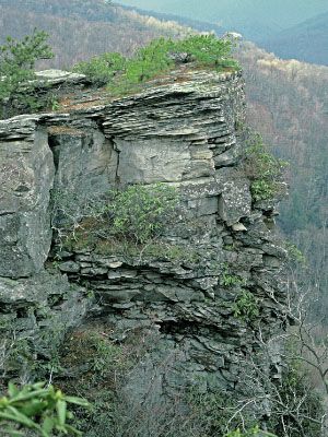 ảnh chụp khu rừng boulderfield ở độ cao thấp