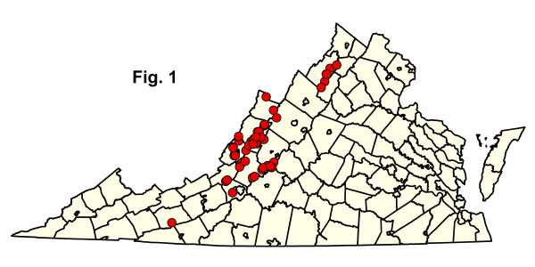 bản đồ cộng đồng