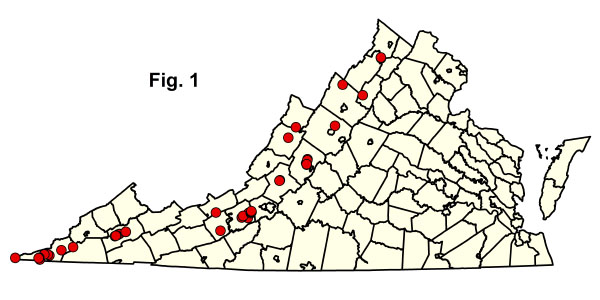 bản đồ cộng đồng