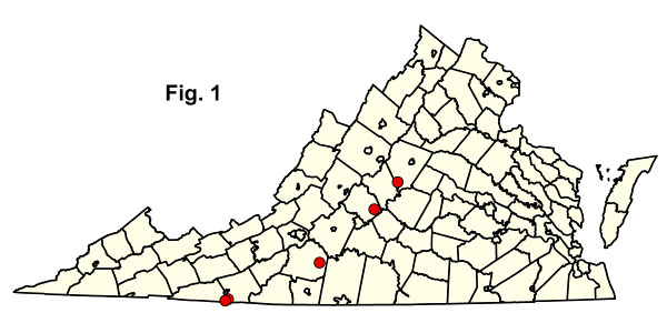 bản đồ cộng đồng