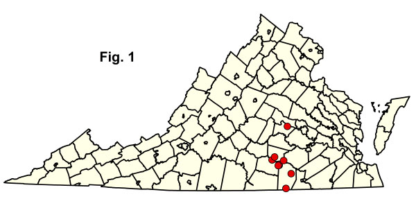 bản đồ cộng đồng