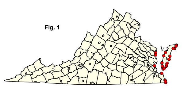 bản đồ cộng đồng