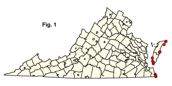 bản đồ cộng đồng