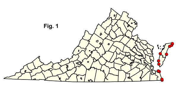 bản đồ cộng đồng
