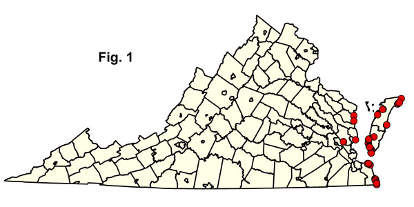 bản đồ cộng đồng