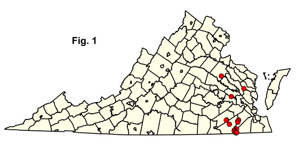 bản đồ cộng đồng