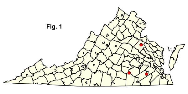 bản đồ cộng đồng