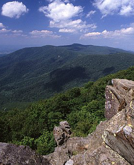 Ảnh chụp các mỏm đá và rừng