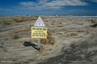 Bãi biển phía trên Bắc Đại Tây Dương / Overwash Flat - CEGL004400 Bãi biển phía trên Bắc Đại Tây Dương / Overwash Flat - CEGL004400