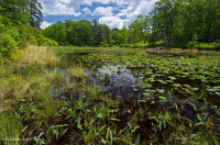 Ngăn chặn bán vĩnh viễn (chưa phân loại) Ngăn chặn bán vĩnh viễn (chưa phân loại)