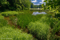 Ngăn chặn bán vĩnh viễn (chưa phân loại) Ngăn chặn bán vĩnh viễn (chưa phân loại)