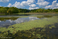 Ngăn chặn bán vĩnh viễn (chưa phân loại) Ngăn chặn bán vĩnh viễn (chưa phân loại)