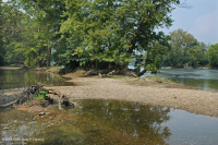 Piedmont / Bãi cát Appalachian Trung tâm / Bờ sông (Loại thảo mộc thấp) – CEGL006483