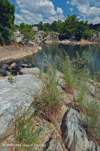 Piedmont / Central Appalachian Riverside Outcrop Prairie – CEGL006478