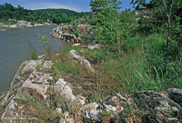 Piedmont / Central Appalachian Riverside Outcrop Prairie – CEGL006478